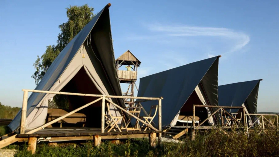 Рынок домов на&nbsp;колёсах и&nbsp;глэмпингов стремительно растёт