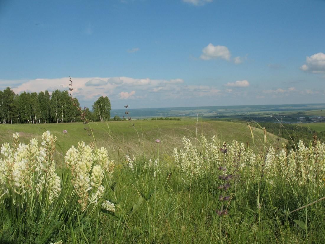 Отдых в Республика Татарстан